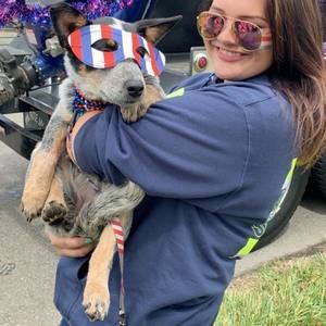 Meet your Posher, Taylor